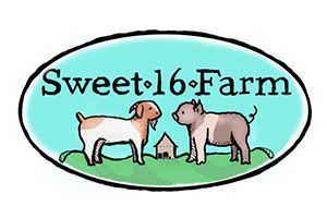 Sweet 16 Farm